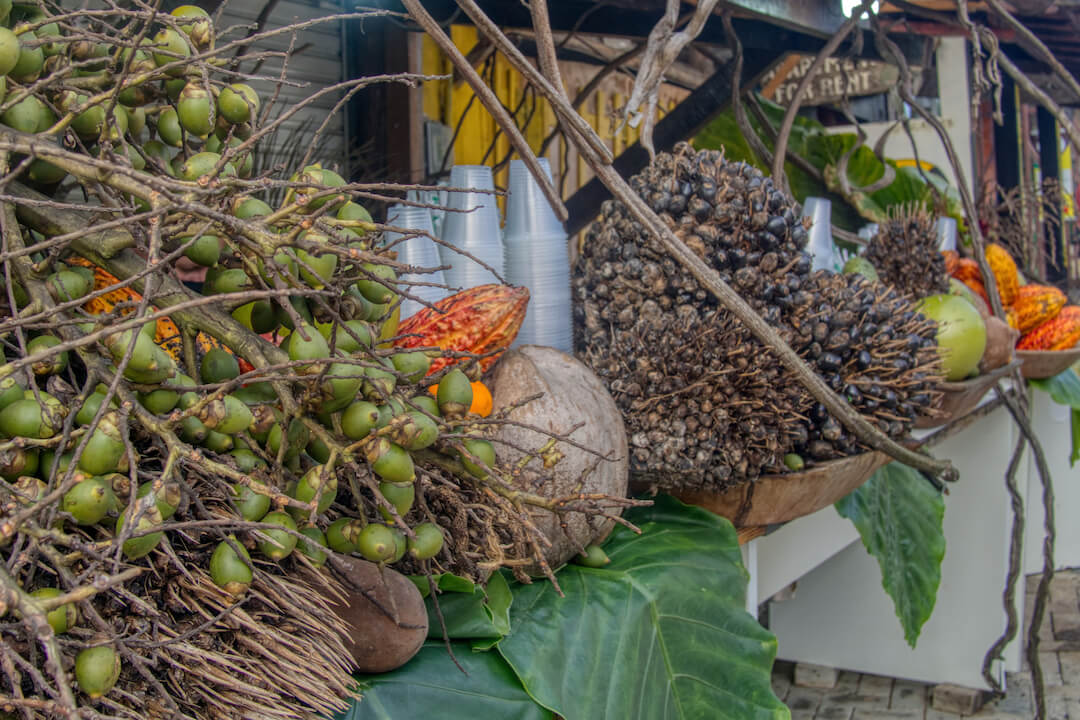 A stall with Brazilian fruits and cacao