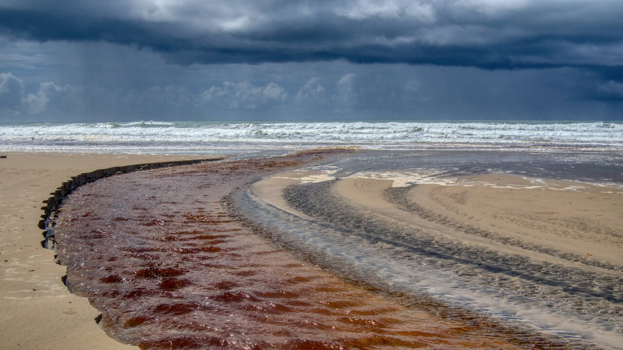 A tannin-coloured stream flows into the sea