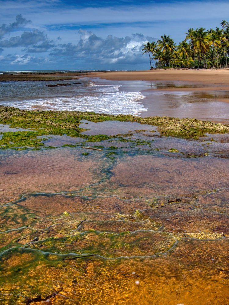 Rock pools with green coral walls